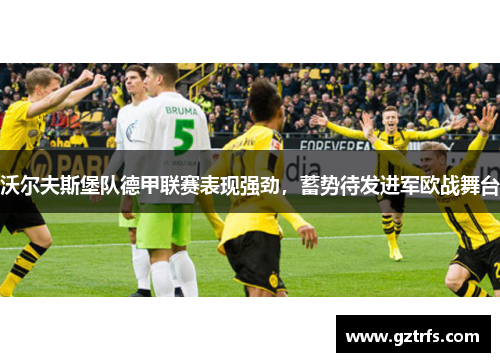 沃尔夫斯堡队德甲联赛表现强劲，蓄势待发进军欧战舞台