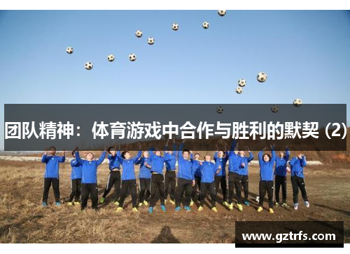 团队精神：体育游戏中合作与胜利的默契 (2)